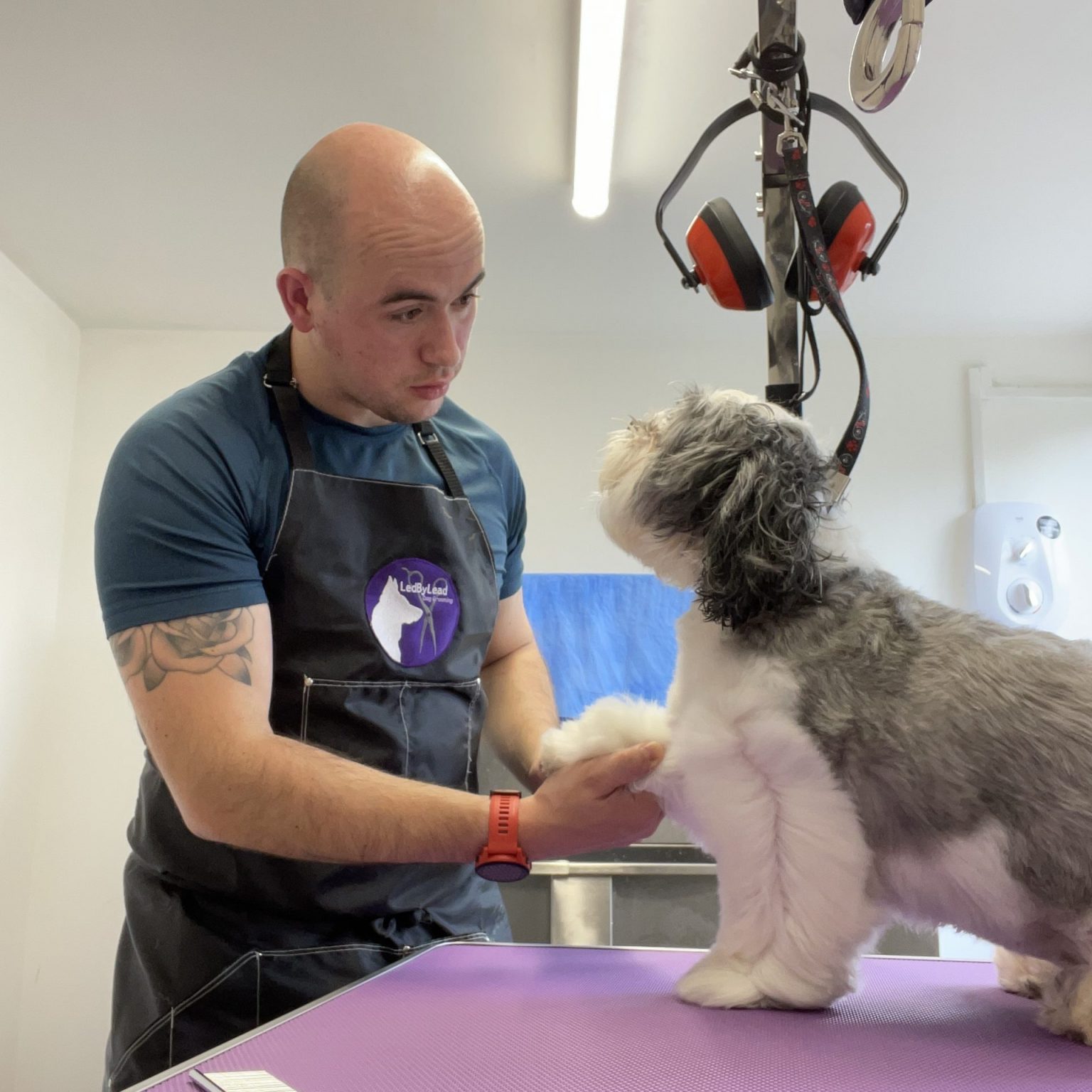 Dog Groomers In Horsforth Book An Appointment Online